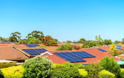 Placas fotovoltaicas: ¿La nueva fiebre del oro?